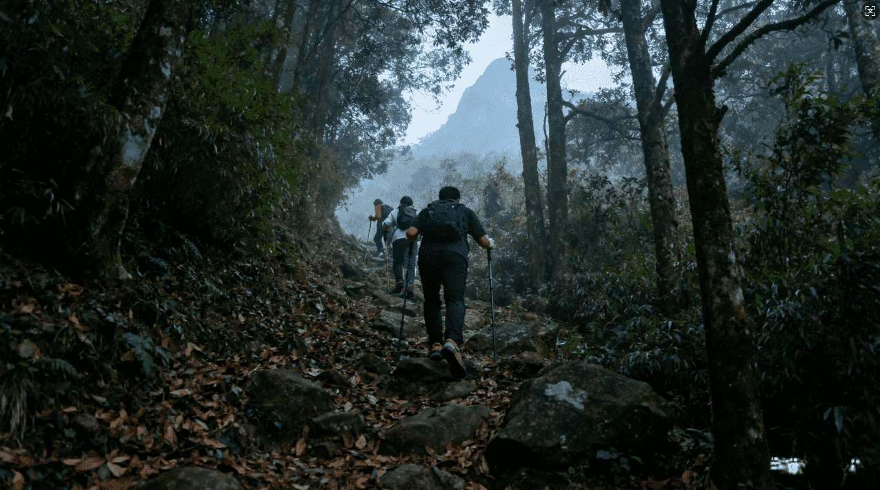 快喵加速器下载安装教程及使用方法全面介绍